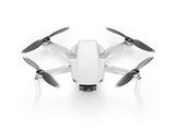 DJI Mavic Mini Quadcopter Drone