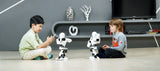 UBTech Alpha 1S Intelligent Humanoid Robot